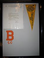 t29